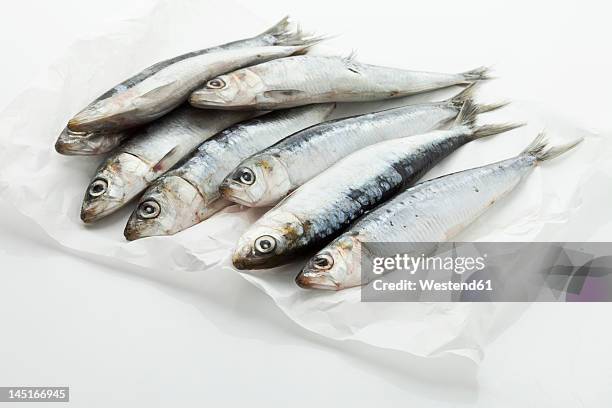 sardines on wax paper - raw fish fotografías e imágenes de stock