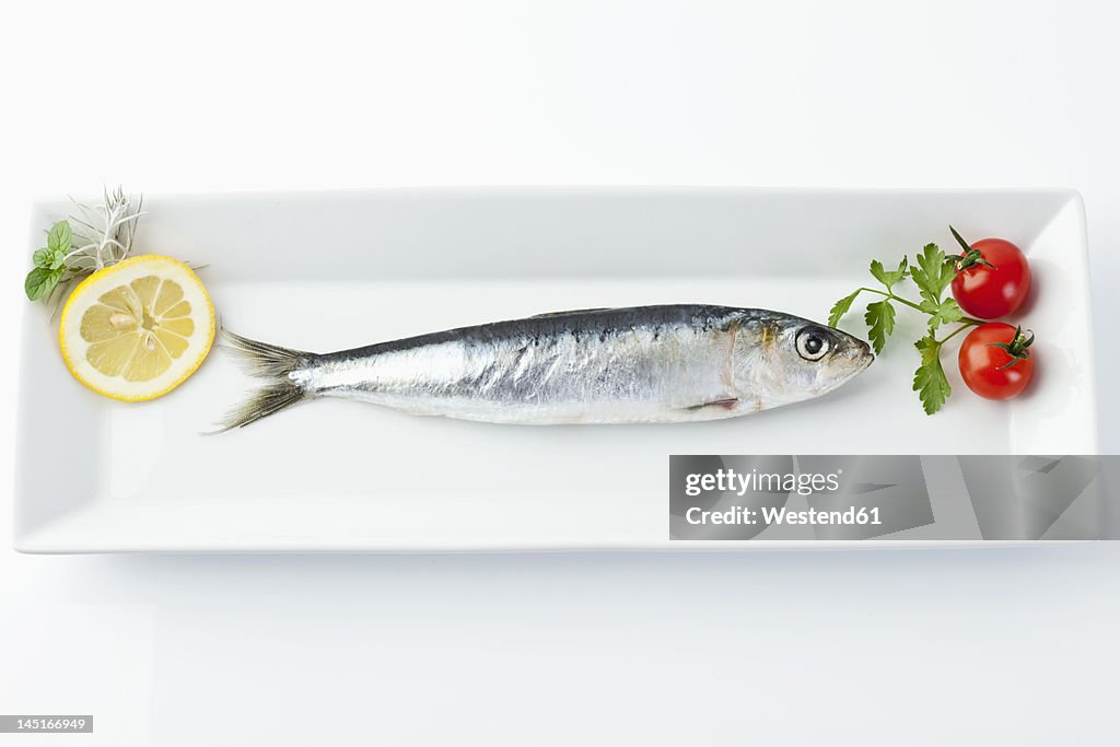 Sardine with lemon and tomato in plate