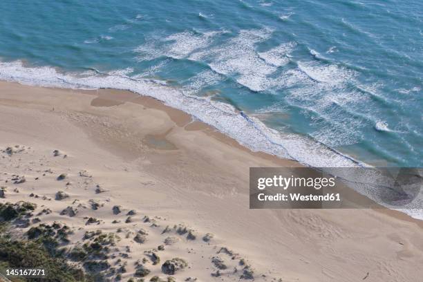 spain, andalusia, view of beach - costa de la luz stock-fotos und bilder