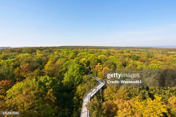 germany, thuringia, hainich, view of hainich national park - thuringe photos et images de collection