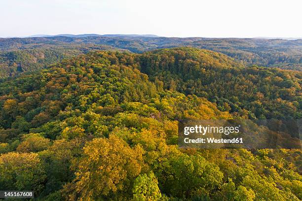 germany, thuringia, eisenach, view of thuringian forest - eisenach foto e immagini stock