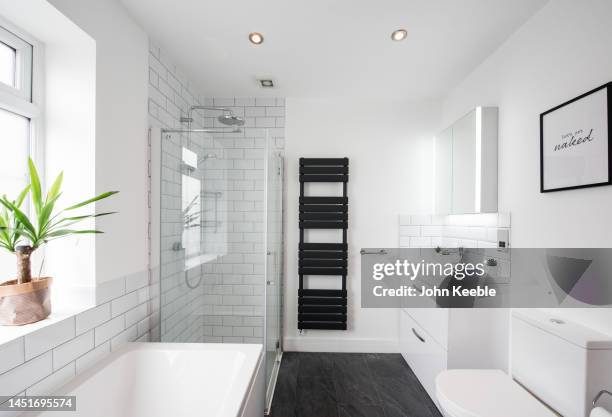 property bathroom interiors - bathroom pot plant stock pictures, royalty-free photos & images