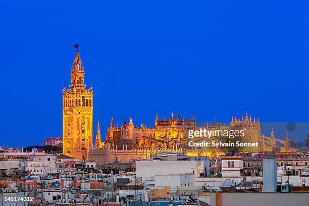 la giralda, seville cathedral at dusk - seville stock pictures, royalty-free photos & images