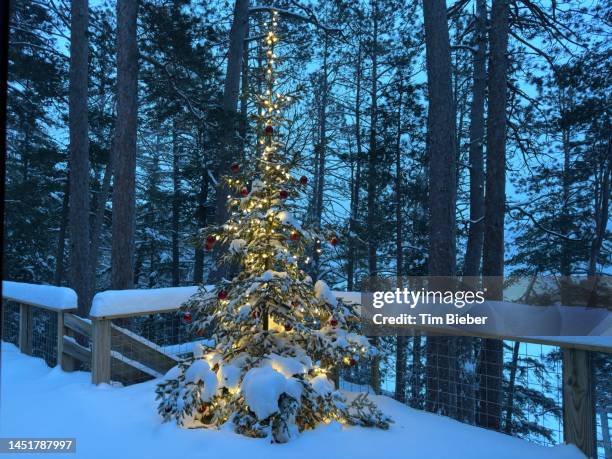 illuminated outdoor christmas tree, on snowy evening. - jesus calming the storm stock pictures, royalty-free photos & images