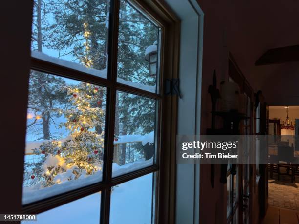 christmas tree through the window on snowy day. - jesus calming the storm stock pictures, royalty-free photos & images