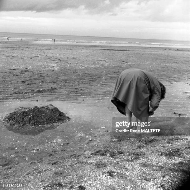 Pêcheuse à pied sur une plage en Bretagne, dans les années 1960.