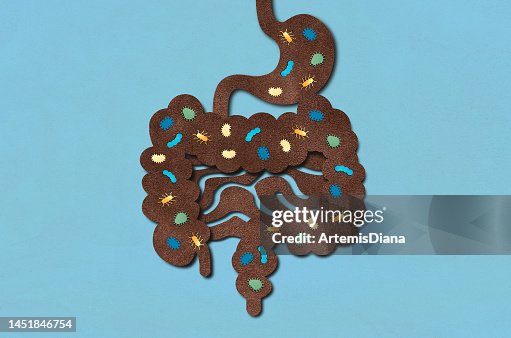 The Human Gut Microbiota - Conceptual Illustration The Human Gut Microbiota - Conceptual Illustration