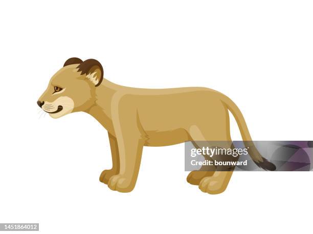 stockillustraties, clipart, cartoons en iconen met lion cub. side view. - welp