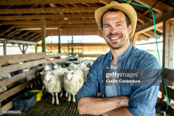 farming - rural america stock pictures, royalty-free photos & images