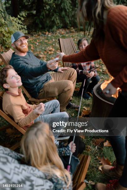 family roasting marshmallows around fire - backyard campfire stock pictures, royalty-free photos & images