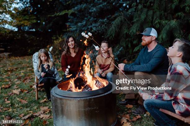 family roasting marshmallows around fire - saturday stock pictures, royalty-free photos & images