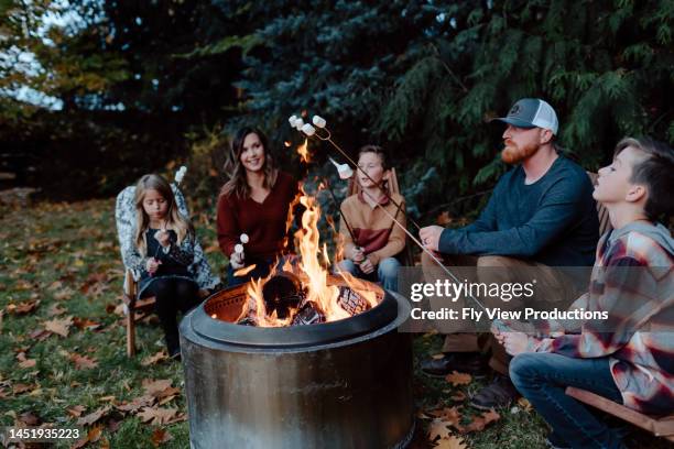 family roasting marshmallows around fire - buraco de fogueira imagens e fotografias de stock