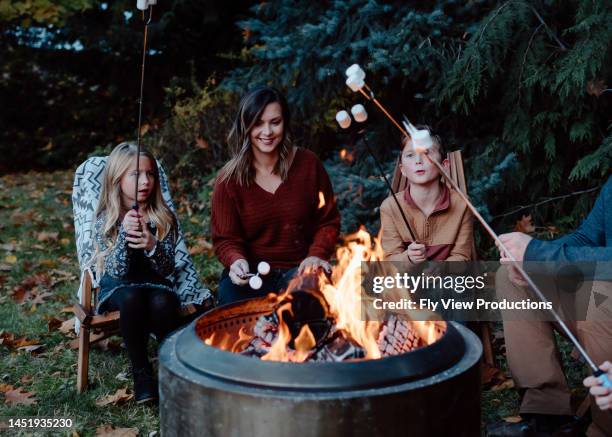 familie röstet marshmallows am feuer - smore stock-fotos und bilder