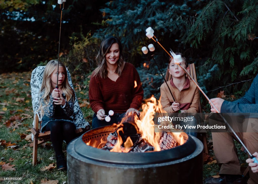 Family roasting marshmallows around fire