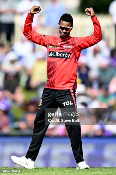 Akeal Hosein of the Renegades celebrates the wicket of Tim David of the Hurricanes during the Men's Big Bash League match between the Hobart...