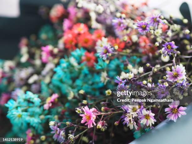 colorful bouquet of dried flowers wrapped in blue glossy paper - viridian green stock pictures, royalty-free photos & images