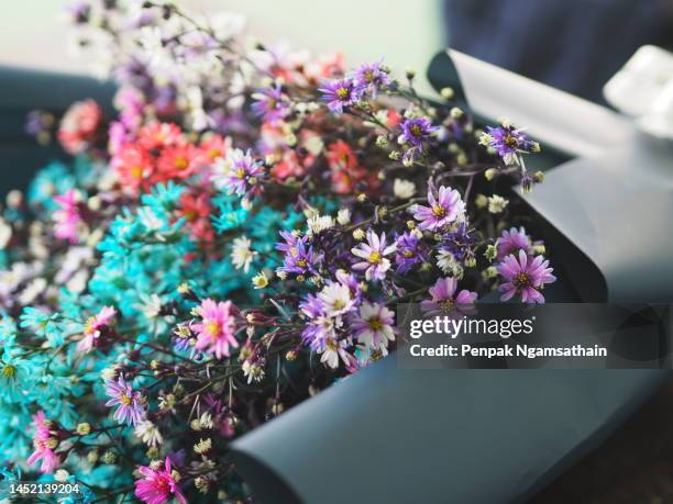 colorful bouquet of dried flowers wrapped in blue glossy paper - viridian green stock pictures, royalty-free photos & images