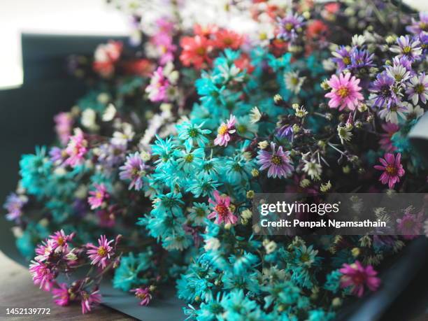 colorful bouquet of dried flowers wrapped in blue glossy paper - viridian green stock pictures, royalty-free photos & images