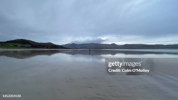 beach walker - sandy molloy stock pictures, royalty-free photos & images