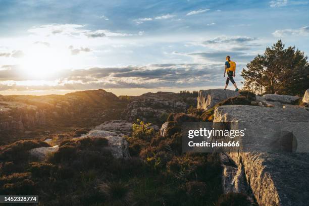 woman hiking outdoors in norway: summer adventures - bergen bildbanksfoton och bilder