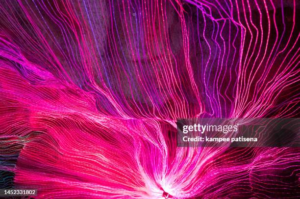 abstract illuminated light festival background - thailand illumination festival stock pictures, royalty-free photos & images