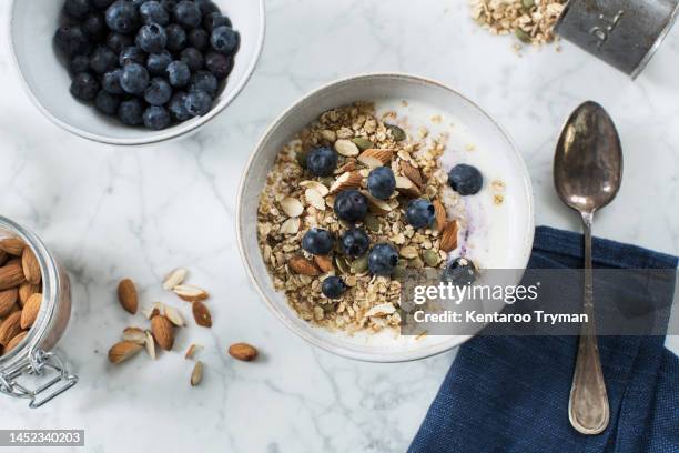 a bowl of yogurt, flakes and blueberries - muesli bildbanksfoton och bilder