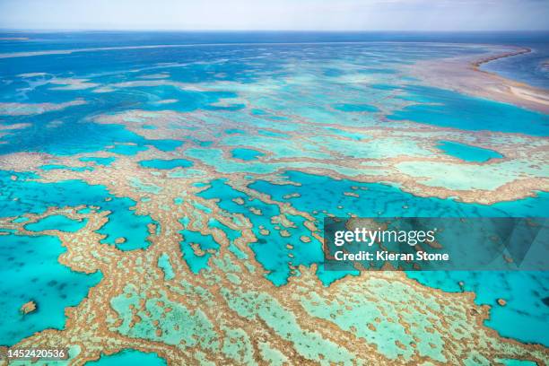 great barrier reef on a clear sunny day - recife heart imagens e fotografias de stock