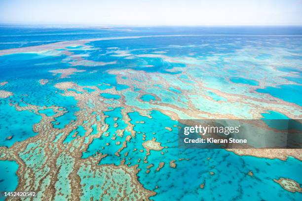 great barrier reef on a clear sunny day - great barrier reef stock-fotos und bilder