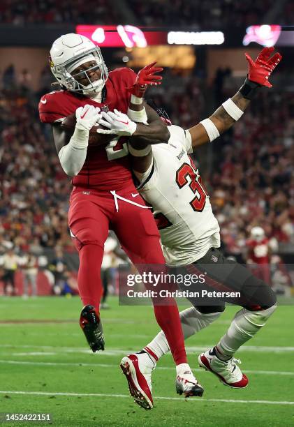 Marquise Brown of the Arizona Cardinals makes a leaping catch as Mike Edwards of the Tampa Bay Buccaneers defends during the 3rd quarter of the game...