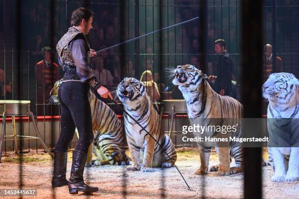 Bruno Togni performs with his tigers during the Circus Krone Christmas Premiere at Circus Krone on December 25, 2022 in Munich, Germany.