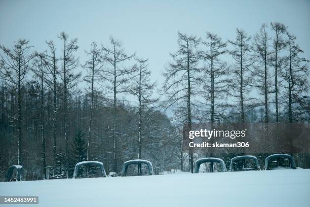 beautiful winter landscape  forest view around little fuji mountain yotei  cover by snow and village near niseko hokkaido japan - hirafu snow resort stock pictures, royalty-free photos & images