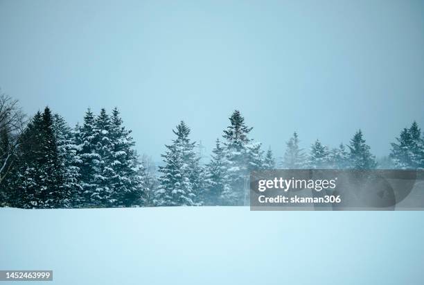 beautiful winter landscape  forest view around little fuji mountain yotei  cover by snow and village near niseko hokkaido japan - hirafu snow resort stock pictures, royalty-free photos & images