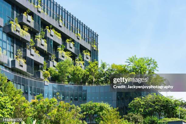 modern building with vertical green - window with view on garden stockfoto's en -beelden