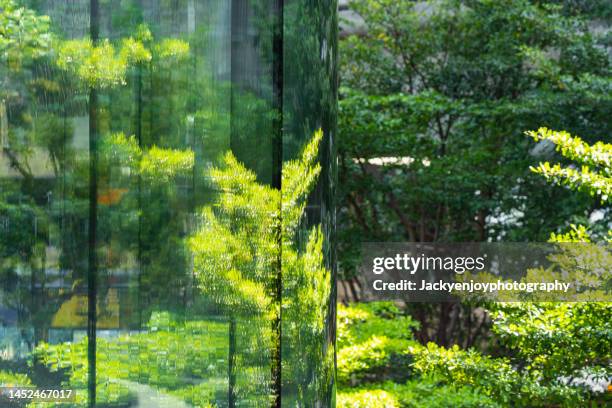 green city - green building stock pictures, royalty-free photos & images