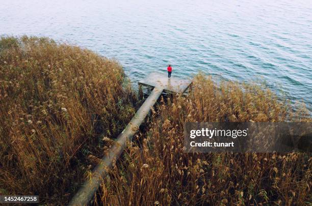 alone on a dock in a lake - woman hush stock pictures, royalty-free photos & images