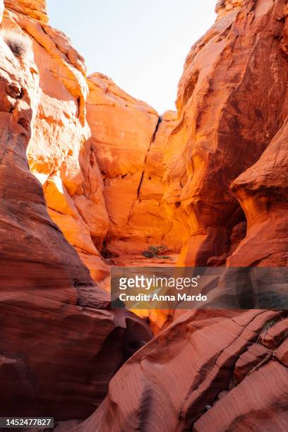 red canyon walls of antelope canyon - sandstone wall stock pictures, royalty-free photos & images
