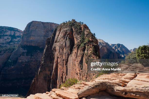 Angles Landing Ridge 641 Angels Landing Zion National Park Stock Photos, High-Res Pictures ...