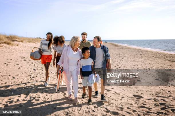 family arriving to the picnic at the beach together - blended family stockfoto's en -beelden