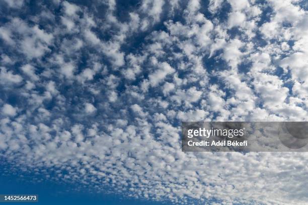 big cirrocumulus cloud in the blue sky - 巻積雲 ストックフォトと画像