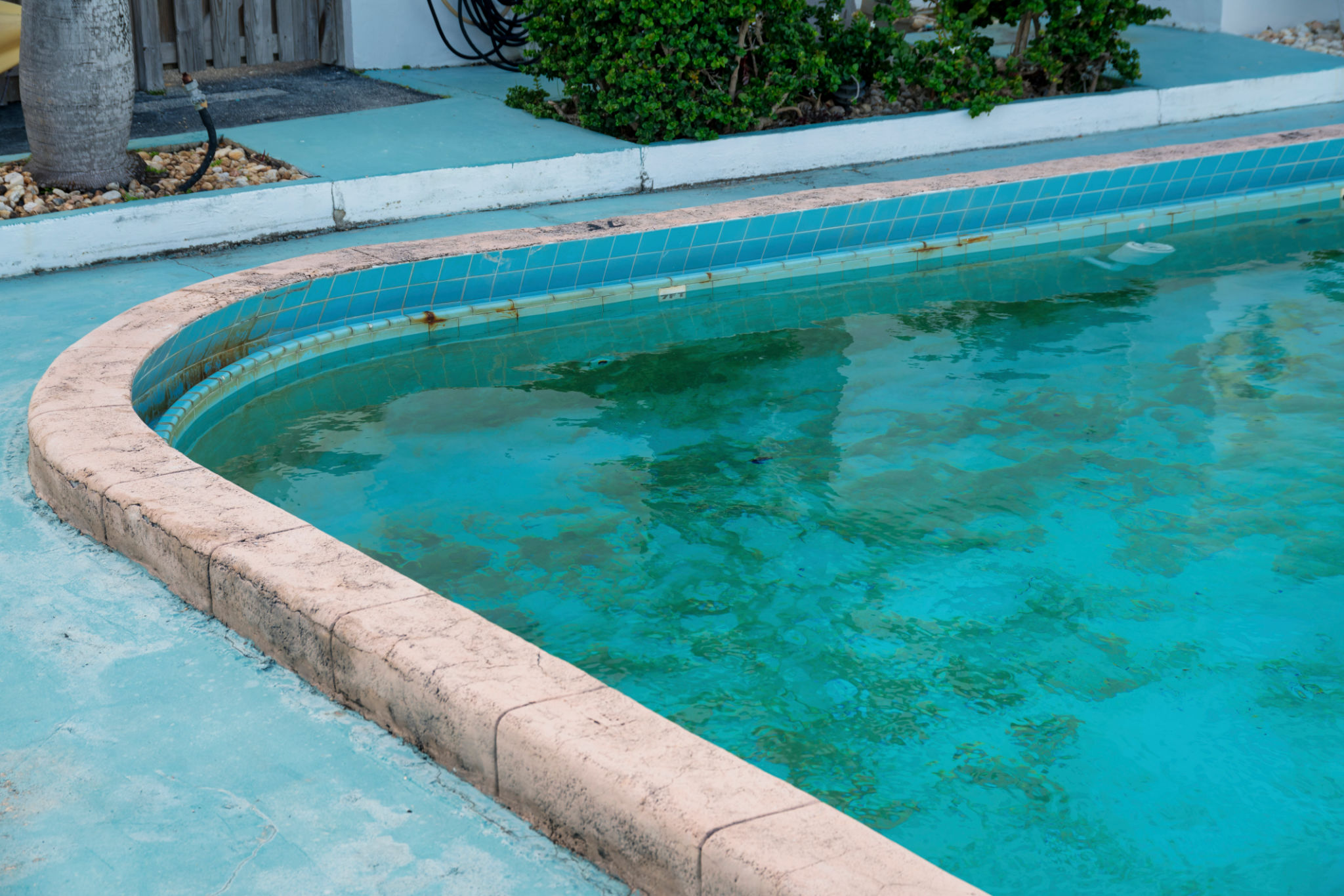 pool algae cleaning