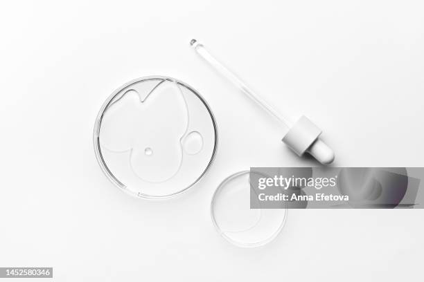 glass pipette and glass petri dishes on white laboratory table. sterile chemical glassware for medical research. flat lay style. copy space for your design - laboratoriumglas stockfoto's en -beelden