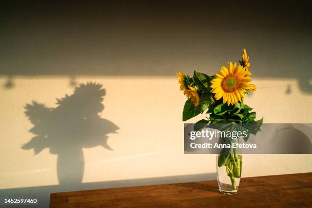 sunflowers stand in glass vase on table on wooden veranda during sunset - tournesol photos et images de collection