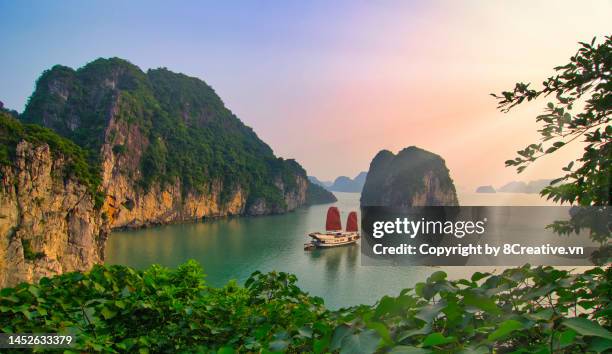 magnificent beauty of ha long bay - halong bay stock-fotos und bilder