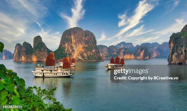 magnificent beauty of ha long bay - ha long bay fotografías e imágenes de stock