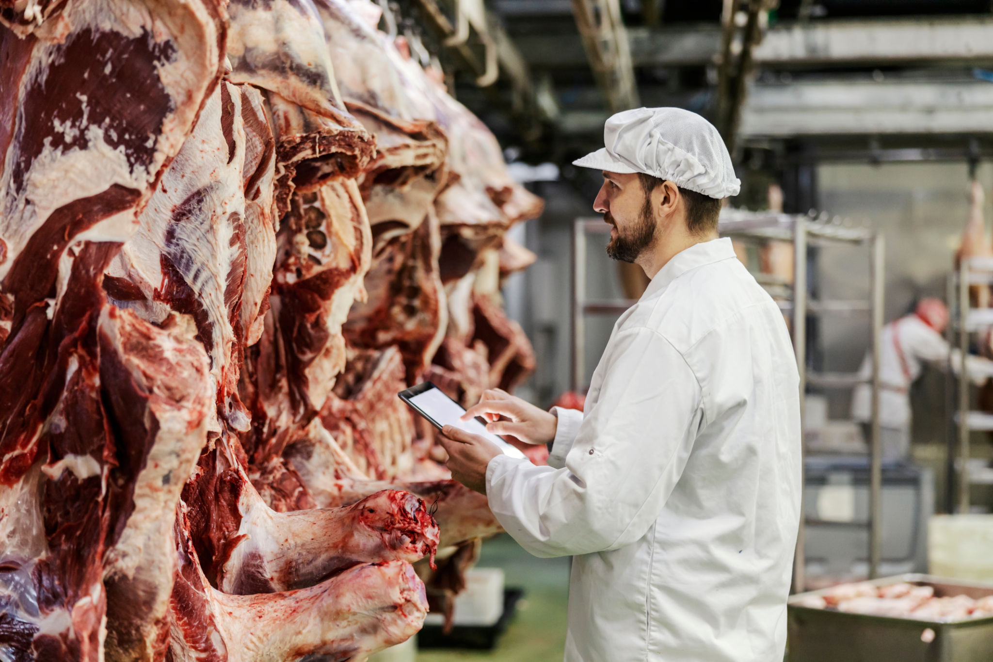 beef inspection
