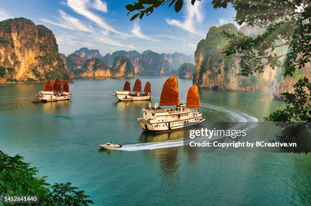 magnificent beauty of ha long bay - bay of water stock pictures, royalty-free photos & images