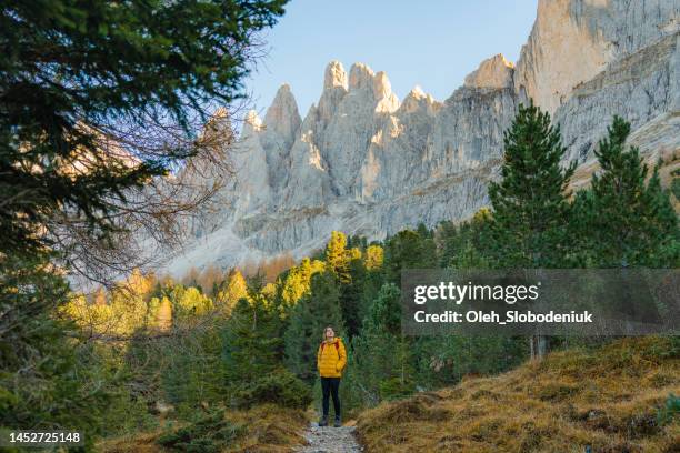 woman hiking  in dolomites  in autumn - geel jak stockfoto's en -beelden