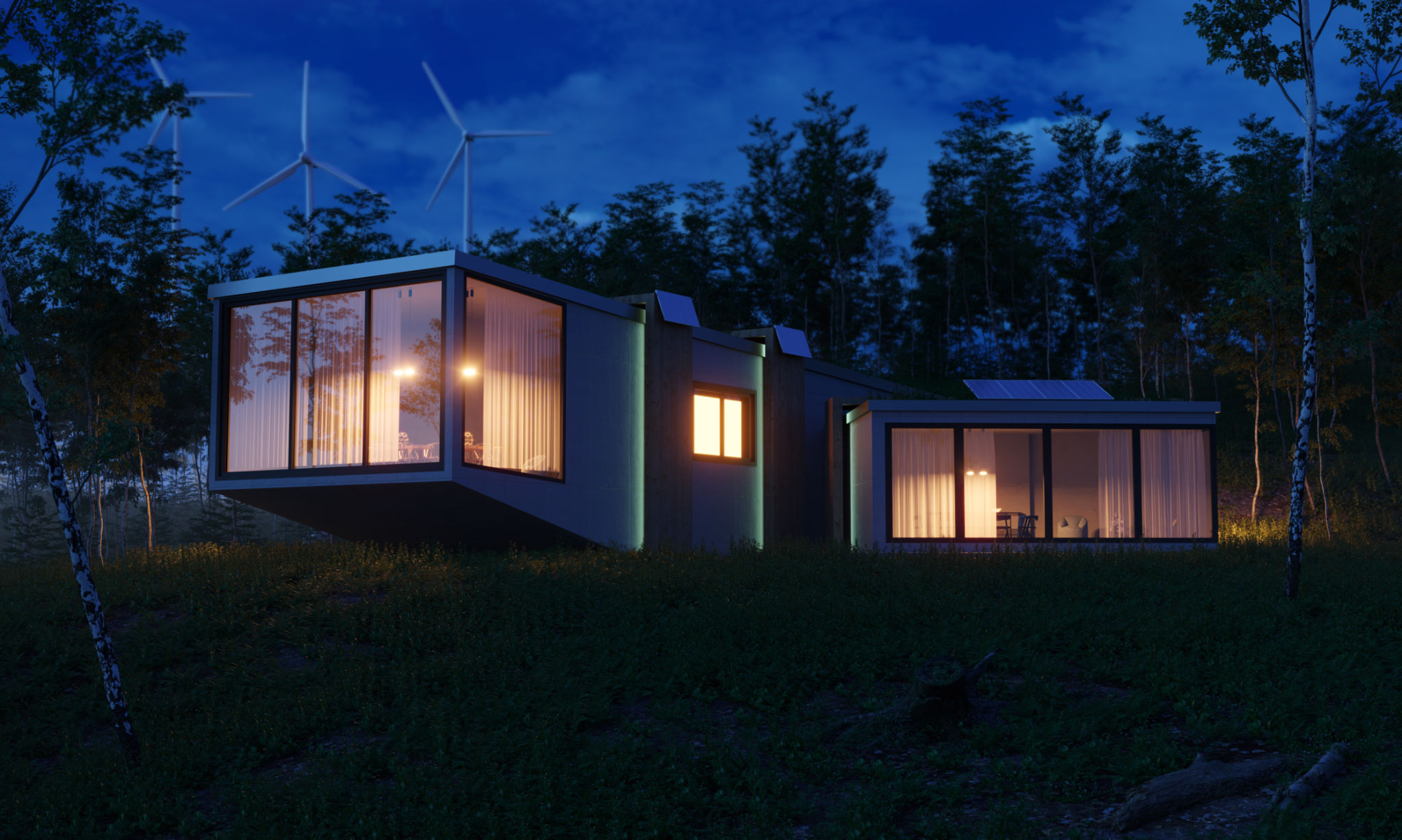 luxury container house