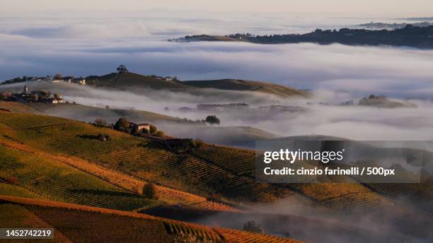 scenic view of agricultural field against sky,monchiero alto,cuneo,italy - cuneo stock-fotos und bilder