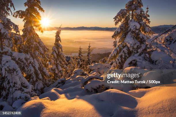 scenic view of snow covered mountains against sky during sunset,western tatras,slovakia - tatra photos et images de collection